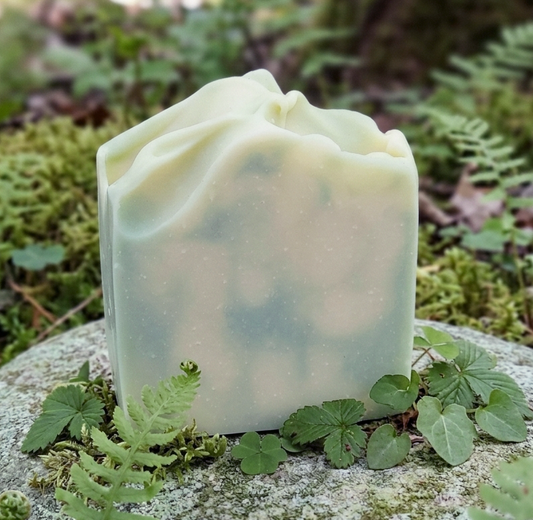 Evergreen Solstice